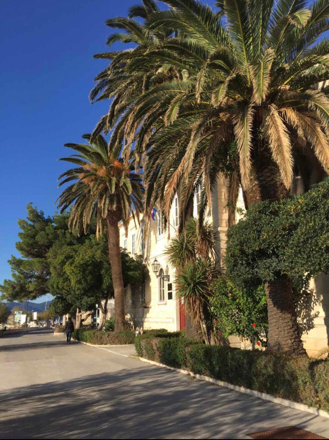 Villa Vinka Orebić Εξωτερικό φωτογραφία