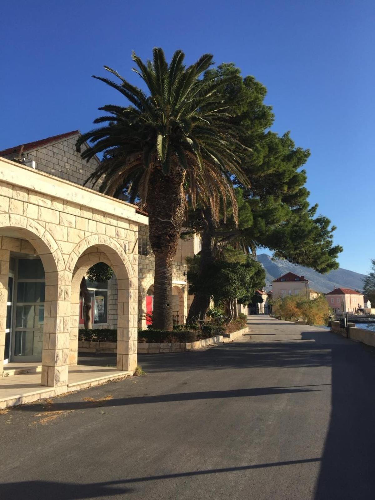 Villa Vinka Orebić Εξωτερικό φωτογραφία